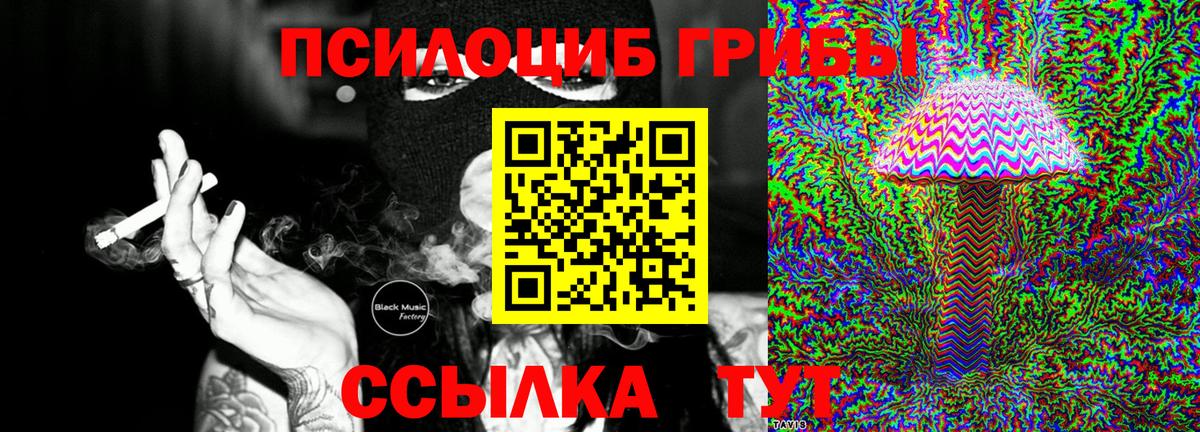 Псилоцибиновые грибы мицелий  Вход с VPN  Чусовой 
